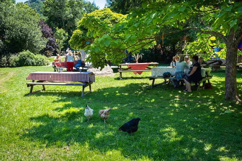 Aire de Pique Nique au Forges de Pyrène
