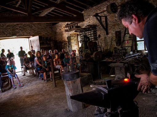 Show forge à martinet