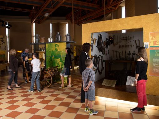 The museum: learning by having fun