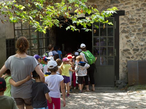 Visite scolaire